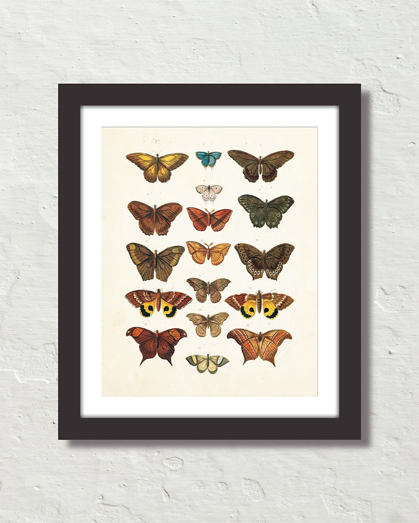 Maison Special Clearance Butterfly Print 140 cm