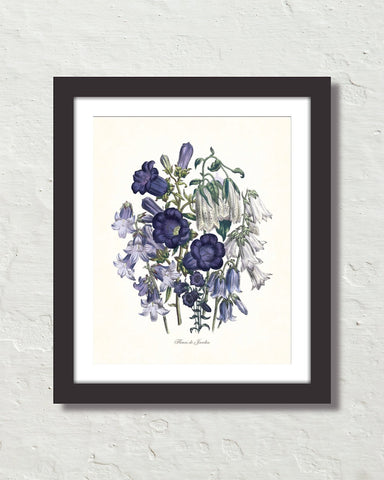 Fleurs De Jardin Plate 3 Botanical Art Print