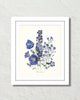 Fleurs De Jardin Plate 6 Botanical Art Print