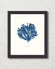 Vintage Indigo Blue Sea Kelp No. 5 Print