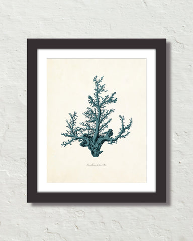 Vintage Sea Coral Series Teal Plate 1 Print