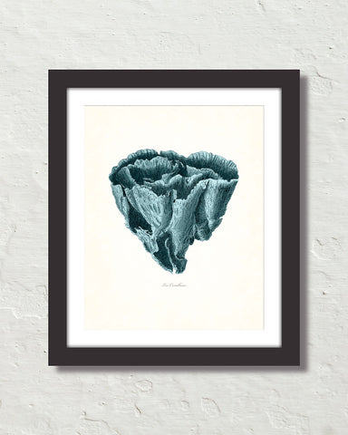 Vintage Sea Coral Series Teal Plate 15 Print
