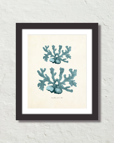Vintage Sea Coral Series Teal Plate 4 Print