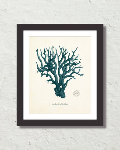 Vintage Sea Coral Series Teal Plate 51 Print