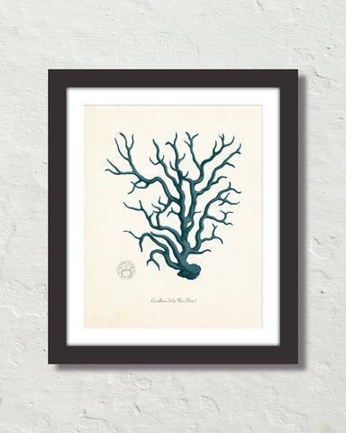 Vintage Sea Coral Series Teal Plate 54 Print