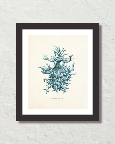 Vintage Sea Coral Series Teal Plate 6 Print