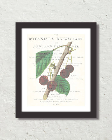 Vintage Cherry Collage No. 3