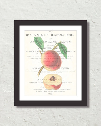 Vintage Peach Collage No. 1