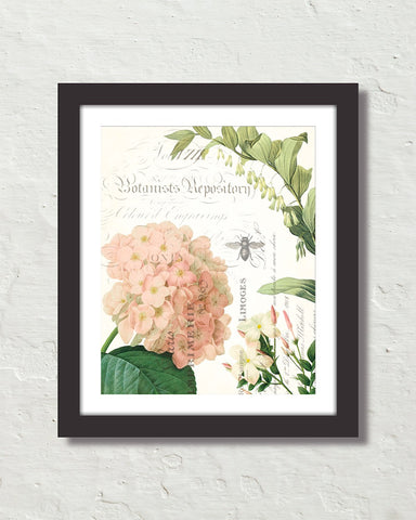 Spring Study Plate 3 Art Print