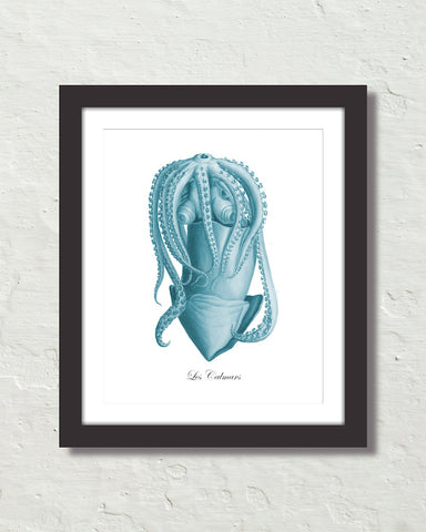 Vintage Aqua Squid No. 1 Natural History Art Print
