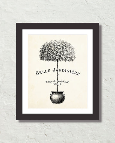 Belle Jardiniere Topiary Giclee Art Print