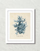 Les Coralliens Blue Sea Coral No. 1 Art Print