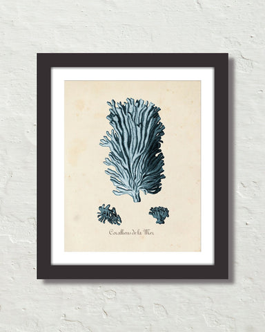Les Coralliens Blue Sea Coral No. 3 Art Print