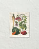 French Vegetable Collage No. 2 Botanical Art Print