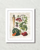 French Vegetable Collage No. 2 Botanical Art Print