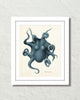 Vintage Octopus No. 2 Smokey Blue Color Art Print