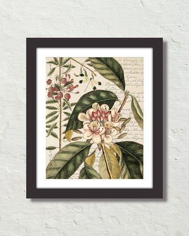 Botanical & Dragonfly Art Print