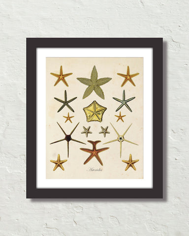 Vintage Starfish Collage No. 1 Art Print