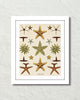 Vintage Starfish Collage No. 2 Art Print