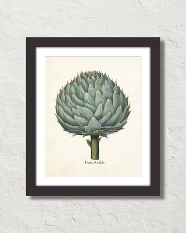 Antique Artichoke Giclee Art Print