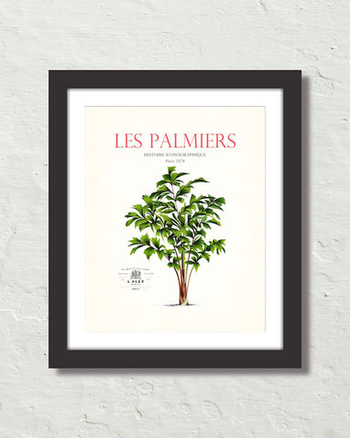 Les Palmiers Vintage French Palm Tree Collage No. 21
