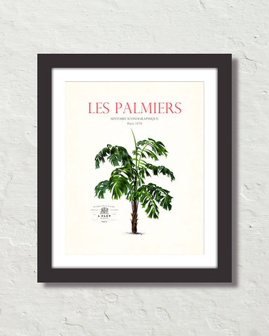 Les Palmiers Vintage French Palm Tree Collage No. 39