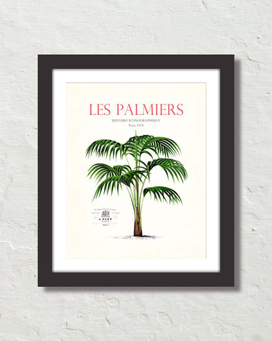 Les Palmiers Vintage French Palm Tree Collage No. 7