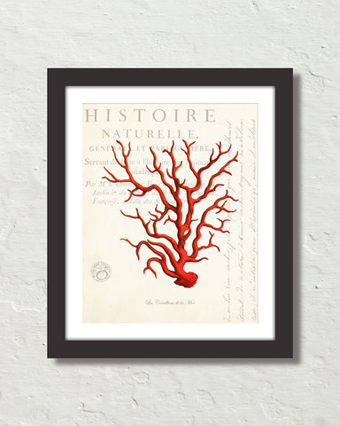 Red Sea Coral Collage Giclee Art Print