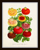 Floral Bouquet Botanical Print Set No. 1