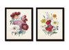 Botanical Floral Print Set No. 32