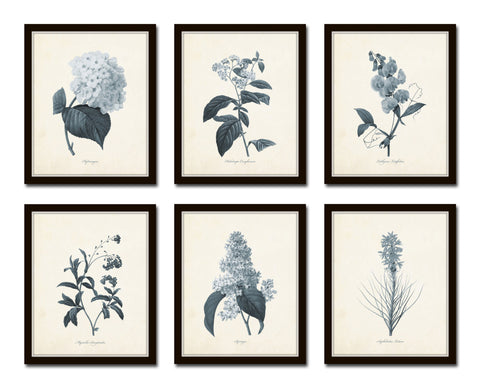 Blue Flowers Botanical Print Set No.1