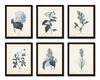 Blue Flowers Botanical Print Set No.1