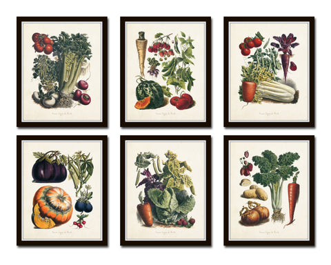 French Vegetable Print Set No. 5