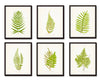 Vintage Ferns Print Set No. 1 - Giclee Art Prints