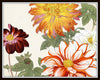 Garden Study Series 2 Botanical Collage Set of 4 Prints