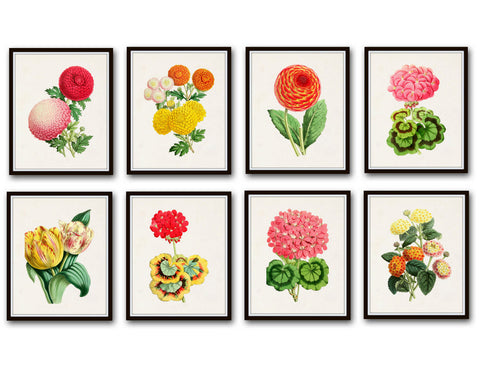 The Floral Magazine Print Set No. 2