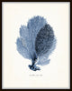Vintage Indigo Blue Sea Coral Print Set No. 2