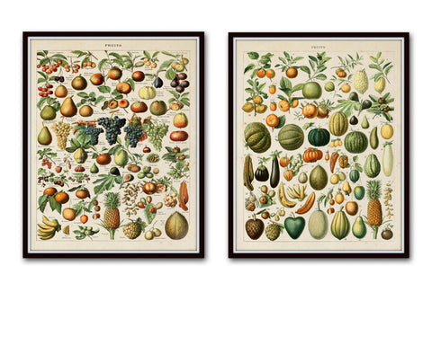 Vintage French Fruits Print Set