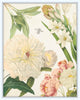 Spring Study II French Collage Print Set