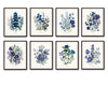 Fleurs De Jardin Print Set No. 8 - Botanical Print Set