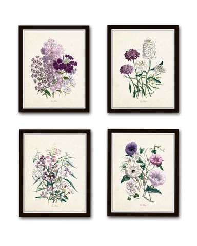 Les Fleurs Print Set No. 8 - Botanical Print Set