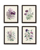 Les Fleurs Print Set No. 8 - Botanical Print Set