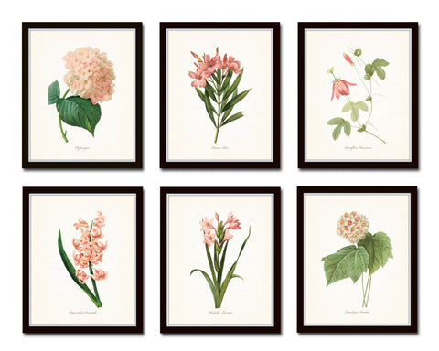 Pink Botanical Floral Print Set No. 2