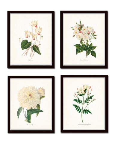 Redoute White Botanicals Floral Print Set No. 2