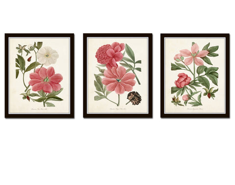 Pink Peony Floral Botanical Print Set