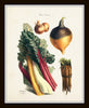 French Vegetable Print Set No. 8