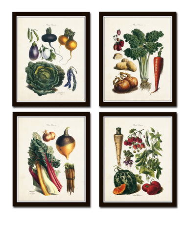 French Vegetable Print Set No. 8
