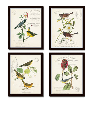 French Aviary Collage Print Set No. 3