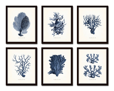 Blue Sea Coral Print Set No. 3