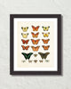 Vintage Butterfly Series Print No. 1